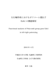 左右軸形成におけるポリコーム遺伝子 Ezh1 の機能解析