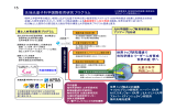 15 先端光量子科学国際教育研究プログラム