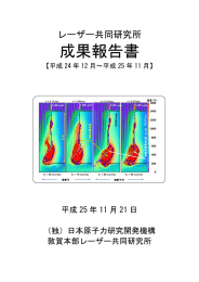 成果報告書 - 国立研究開発法人日本原子力研究開発機構