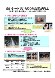 透湿性白色シートのマルチによる イチジク果実の品質向上