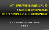 pT1卵巣明細胞腺癌における 不整巨核細胞の存在意義 および予後因子