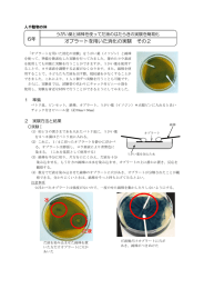 だ液 水 6年 オブラートを用いた消化の実験 その2