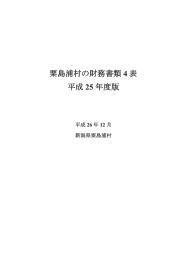 平成25年度粟島浦村の財務書類4表