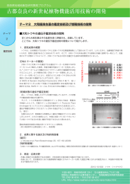 古都奈良の新世紀植物機能活用技術の開発