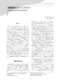 細菌感染とオートファジー