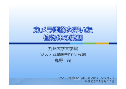 カメラ画像を用いた 植物体の識別