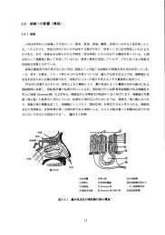 5.5 感覚への影響（嗅覚）