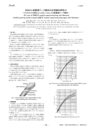 Y系応用基礎、コイル応用、MgB2(2)、バルク(1)