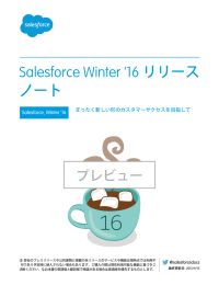 Salesforce Winter `16 リリースノート