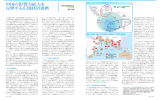 中国の影響力拡大を 反映する広域経済連携