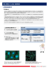 次抗体の選び   抗体の実験にきっと役  つ基礎知識 - Sigma