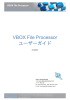 VBOX File Processor