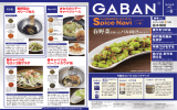 GABAN_Spice Navi_vo6アウト前