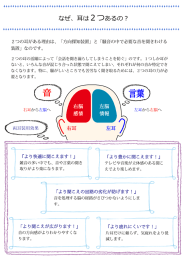 なぜ、耳は2つあるの？