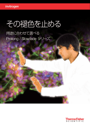 その褪色を止める - Thermo Fisher Scientific