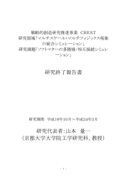 研究終了報告書 研究代表者：山本 量一 （京都大学