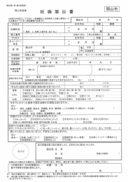 妊娠届出書（PDF:1.1MB）