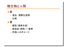 3サイクルの歴史