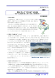 雲海に浮かぶ“天空の城”竹田城跡（兵庫県朝来市）（PDF形式：380KB）