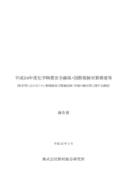 平成24年度化学物質安全確保・国際規制対策推進等