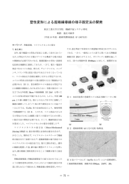 塑性変形による超極細導線の端子固定法の開発