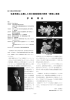 花葉会賞受賞者紹介