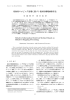 相対的マッピング処理に基づく相対的情報検索手法