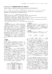 LNG またはメタン大規模爆発時の爆風に関する数値予測