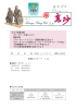 新聞13午後2月28日