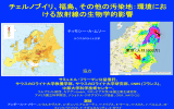 チェルノブイリ - 市民科学者国際会議