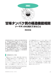 甘味タンパク質の構造機能相関