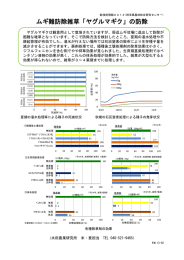 「ヤグルマギク」の防除（PDF：235KB）