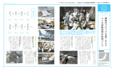 事例4-天神川/岐阜 （PDF 544KB）