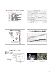 地球科学実験2