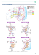23 福島県広域道路網マスタープラン 郡山都市圏拡大図 福島都市圏