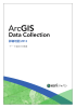 ArcGIS データコレクション 詳細地図 2012 データ基本