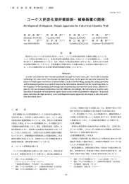 コークス炉炭化室炉壁診断・補修装置の開発