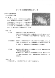 タヌキの被害対策について