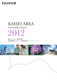 KAISEI AREA