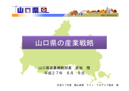 山口県の産業戦略 - 徳山工業高等専門学校