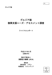 グルジア国 復興支援ニーズ・アセスメント調査