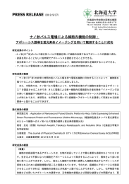 ナノ秒パルス電場による細胞内機能の制御： アポトーシス