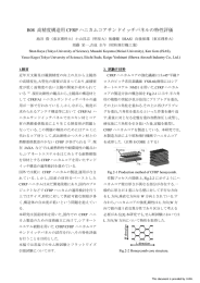 B08 高精度構造用 CFRP ハニカムコアサンドイッチパネルの特性評価