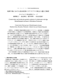 島原半島における淡水紅藻オキチモズクの保全と遺伝子解析