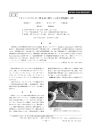 マカロニペンギンの上嘴基部に発生した悪性黒色腫の1 例