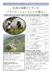 スリランカスタディツアー 日程表 チラシ表