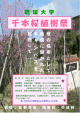 千本桜植樹祭