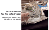 Silicone cookie for CsI calorimeter