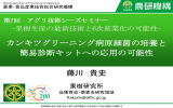 カンキツグリーニング病原細菌の培養と 簡易診断キットへの応用の可能性