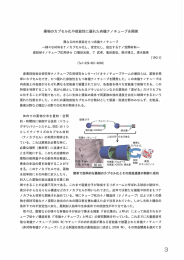 薬物のカプセル化や徐放性に優れた有機ナノチュープを開発